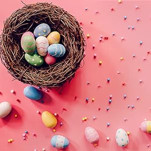 Easter Birds Nest Decorating, Mini Artificial Birds Nest Rattan Nest for Easter Crafts Home Garden Decor Wedding Party (4 Inches) Easter Birds Nest Decorating Mini Artificial Birds Nest Rattan Nest for Easter Crafts Home Garden Decor Wedding Party 4 Inches