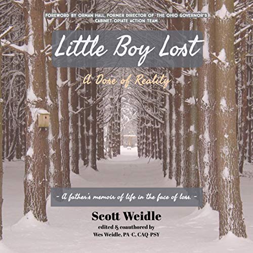 Little Boy Lost by Scott Weidle, Wes Weidle episode artwork