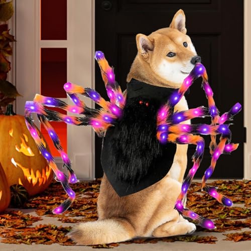 Big Dog Halloween Kostüme, großes Hundespinnenkostüm, riesige Spinnen -Halloween -Kostüm für mittelgroße Hunde, lustige Kostüme