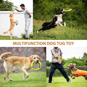 SKIPDAWG-Interactive-Dog-Tug-Toy-Dog-Flying-Disc-Dog-Water-Toy-Non-Toxic-Light-TPRNylon-Fabric-Pet-Training-ToysOutdoor-Exercise-Toys-for-Dogs-Diameter-9-Inches - Cucciolini Doodles   SKIPDAWG-Interactive-Dog-Tug-Toy-Dog-Flying-Disc-Dog-Water-Toy-Non-Toxic-Light-TPRNylon-Fabric-Pet-Training-ToysOutdoor-Exercise-Toys-for-Dogs-Diameter-9-Inches