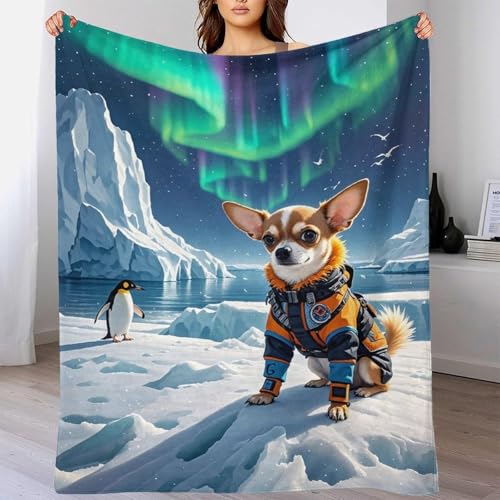 Plaid Chihuahua 3D en microfibres 150x200cm pour canapé et lit - 4