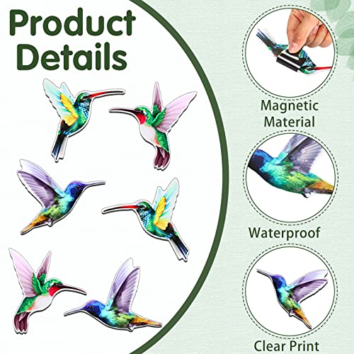 3 Pairs Hummingbird Screen Door Screen for Screen Door