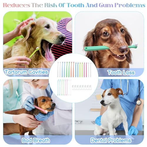 Guiqulai 32 Piece Pet Dog Toothbrush Set, Double Sided Brushes, Finger Toothbrush, Long Handle Cat Puppy Tooth Brushing Kit Pet Cleaning Oral Dental Care Supplies