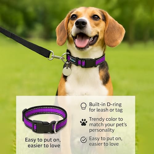 Image of Reflective Adjustable Pet Collar for Dogs and Cats - Durable Nylon Strap with Heavy-Duty Buckle | Comfortable and Safe for Walking and Training in Multiple Colors & Sizes (Purple, Small)