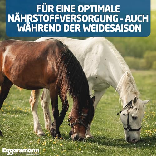 Eggersmann Mein Pferdefutter Mineral Bricks 25 kg - Mineralfutter für Pferde - Zur Unterstützung des Stoffwechsels & Immunsystems - Pferdefutter mit Mineralstoffen & Vitaminen