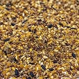 Weterton Feeds No Wheat Wild Bird Seed, 20kg | Premium Wheat-Free, High Energy UK Grown Bird Food for Garden Birds