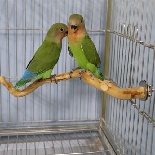 Image of 5PCS Natural Wood Stand 2 Wooden Platform 1 Swing 1 Grape Stick Paw Grinding Fork 1 Azalea Wood Stand Cage Accessortes for Birds