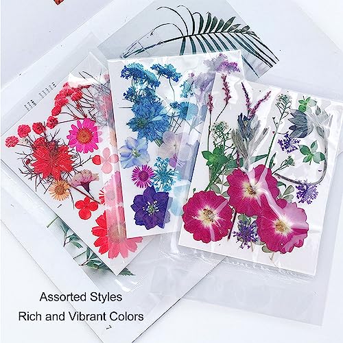 Flores prensadas surtidas 5 bolsas, 100 piezas artesanales miniatura 2