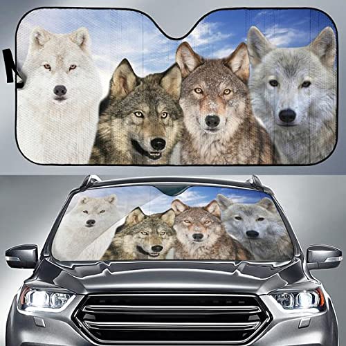 Pare-soleil voiture pliable pour des trajets au frais en famille avec votre chien-loup taille M