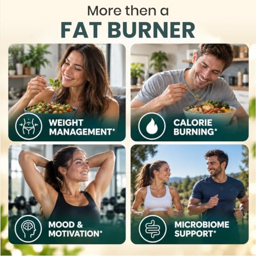 Zenos Health Fitness Support Bundle