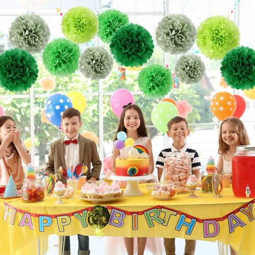 Image of BestoFun 16 PCS Green Party Decorations Tissue Paper Flowers Pom Poms Decorations for Girl Groovy Birthday Baby Shower Wedding Bachelorette Room Wall Hanging Decor