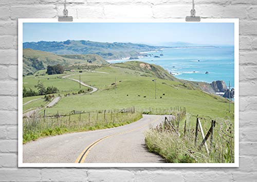 Mendocino Coast Sonoma Coast Bodega Bay Photograph