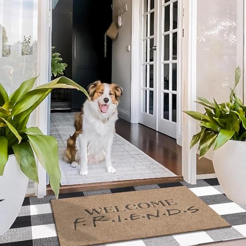 Lzuso Funny Friends Welcome Mats Front Doormats Inside Outside Entryway Mat Non Slip Durable Inside Outside Entryway Mats Durable Resist Dirt Farmhouse Doormat for Home High Traffic Area - Image 4