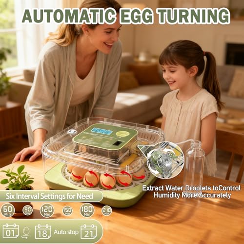 XOTTI Incubator for Hatching Egg, 12 Egg Incubators with Temperature and Humidity Control, Automatic Turner, Candler, 360° Viewing for Dry Hatch Chicken, Duck, Quail, Goose, Parrot and Pigeon — view 6