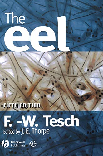 The Eel view 2