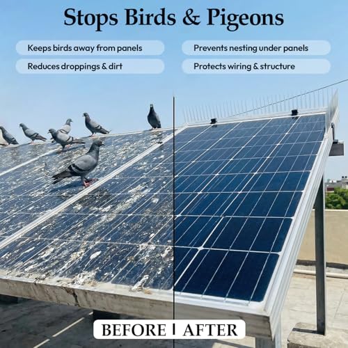 Image of Bird Spike for Solar Panel with Stand | 1 Feet Anti Bird Spikes for 30 to 40 mm Panel Thickness | Pigeon Deterrent for Solar Panel Protection (Pack of 10)
