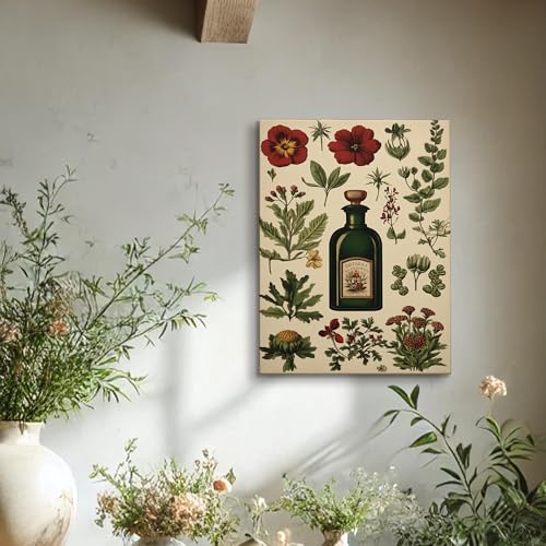 Affiche herboriste bouteille verte 40x50cm décoration murale botanique