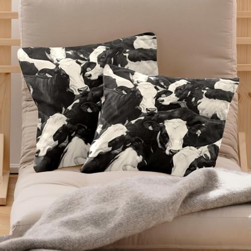 Fundas de almohada decorativas modernas para renovar el sofá del salón 3