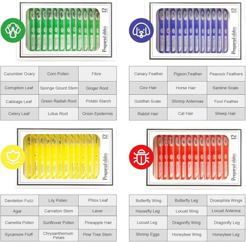 image for Jiusion 48Pcs Prepared Microscope Slides Specimen Animals Insects Plan