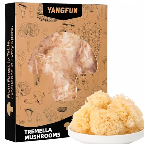 YANGFUN Dried Tremella Mushrooms 4oz Average Size Versatile Ingredient Dried White Fungus Dried Snow Fungus dried mushrooms for soup Vegetarian mushrooms dehydrated mushrooms Vacuum packaging dry mushrooms
