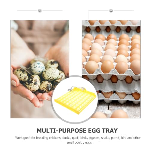 Bandeja de incubadora para 56 huevos de plástico resistente en granjas 8