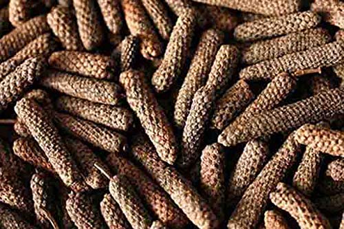 Image of Exotes Premium Dry Fruits (Long Pepper / Badi Pipal), 100 g