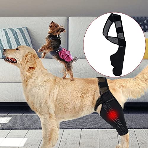 Image of gofidin Dog Leg Support Brace, Pet Knee Pads Dog Elbow Support Brace Protector Breathable Knee Brace Injury Recover Legs Wrap Reduces Pain and Inflammation