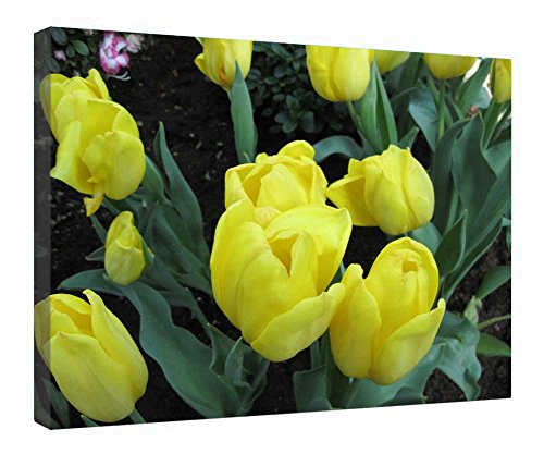 Lienzo decorativo de pared Spring Blooms cuadro de flores en relieve enmarcado 16x20