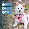Voyager Step-in Pet Harness - All Weather Mesh, Adjustable Step in Harness for Cats and Dogs by Best Pet Supplies - Pink, M #2