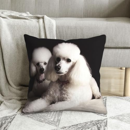 Housse de coussin caniche français pour sublimer votre canapé et votre lit - 2