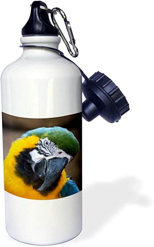 Miniatura 1 de 3dRose WB _ _ _ _ _ _ _ _ _ _ 178428_ _ _ _ _ _ _ _ _ _ 1" Azul Oro Cabeza De Parrot Macaw inclinado "Deportes botella de agua, 21oz, color blanco