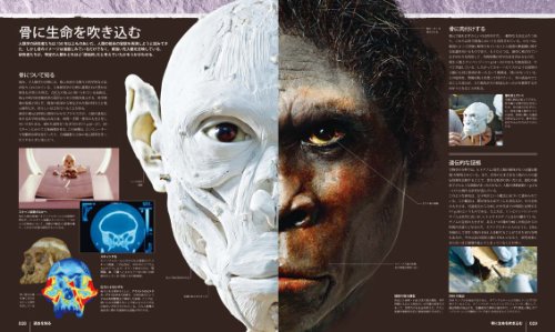 ネアンデルタール人 北京原人はヒトの祖先ではない 数多くのホモ属の種 恋する遺伝子