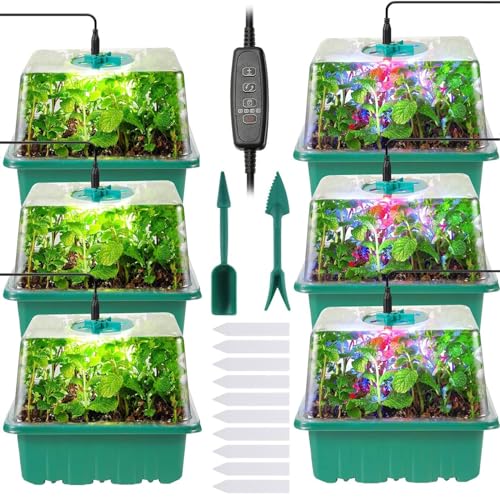 Rinobels Indoor Gewächshaus Propagator mit Pflanzenlampe,6 Stück 72 Zellgewächshaus Anzucht Set mit Zeitschaltuhr,einstellbare Helligkeit,Dickes Gewächshaus mit Deckel und Belüftung