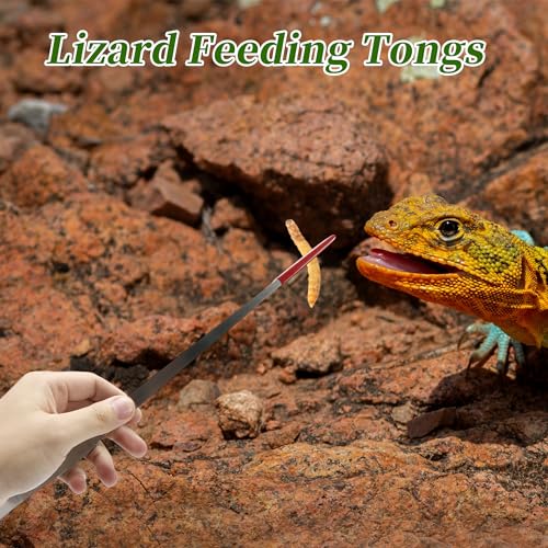 Image of 14.96 inch l Aquarium Straight Feeding Tweezer for Feeding with Red Rubber Tip