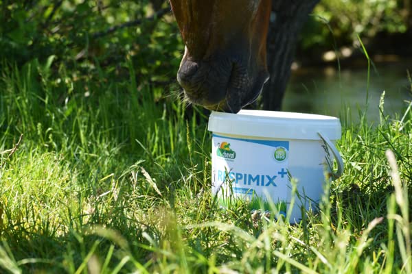 Respimix - Aliment Complémentaire Équin - 100% Bio - Confort Respiratoire - Mélange d'Herbes Séchées pour Cheval, Poney, Âne - sans Céréales ni Mélasse