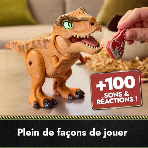 Primal Hatch Jurassic World Dino Eclosion Secrète - Oeuf De Dinosaure À Faire Éclore - Apprivoisez Et Interagissez avec Lui - 2 Accessoires Inclus - 100 Sons & Réactions - Jouet Enfant 5 Ans Et +