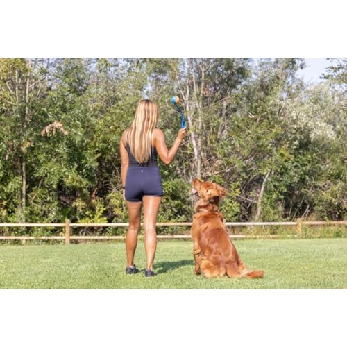 Image of Chuckit! Dog Ball Launcher 12M Sport with 12 inch Handle Length for Medium 2.5 inch Dog Balls For Dogs 20-60 lb, Plastic Pet Fetch Ball Thrower, Perfect for Kids, Made in USA, Blue