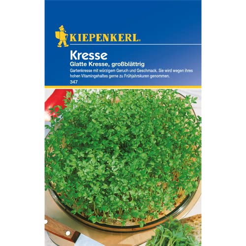 Kiepenkerl Kresse - glatte, großblättrig
