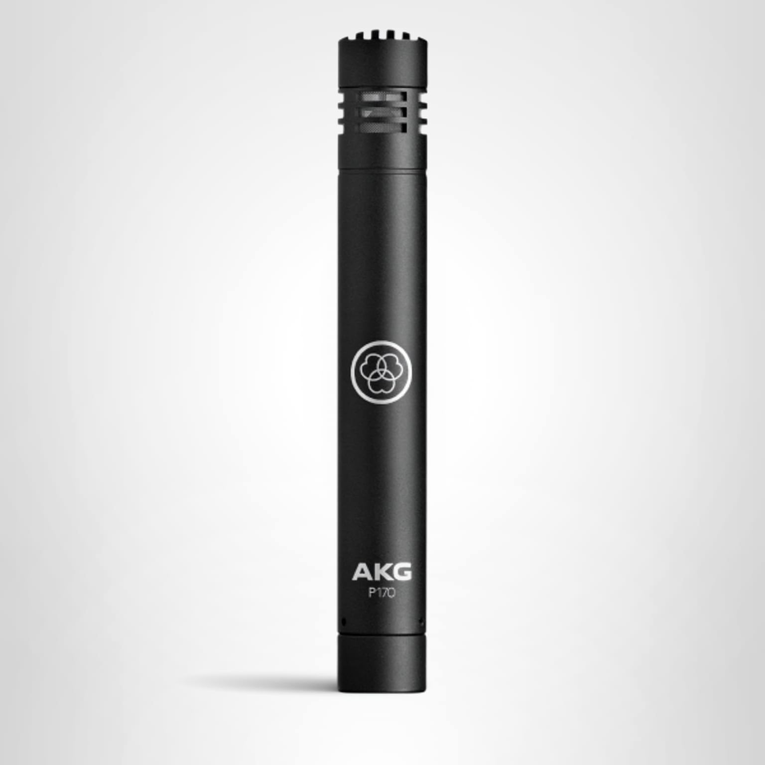 Amazon.com: AKG Pro Audio P170 Professional, All Metal, Switchable