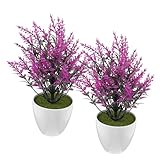 Photo Gallery ultechnovo 2 pezzi piantine finte decorative con vaso stabile bonsai artificiale realistico per e casa colori vivaci per ufficio soggiorno e ristorante Photo Gallery ultechnovo 2 pezzi piantine finte decorative con vaso stabile bonsai artificiale realistico per e casa colori vivaci per ufficio soggiorno e ristorante