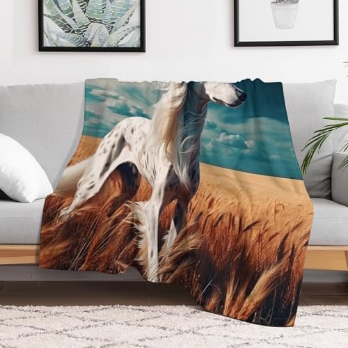 Couverture chaude pour chien et canapé : l'accessoire cocooning salon