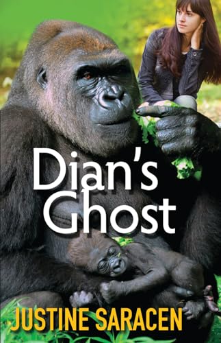 Dian's Ghost view 2