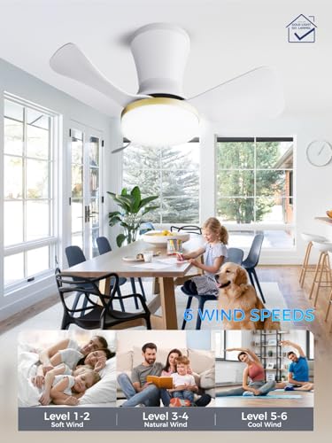 Image of LANMEL 22 Inch Flush Mount Ceiling Fan with Light and Remote, Low Profile Modern Ceiling Fan, 6 Speed, Reversible, 3000k-6500k Dimmable LED, Quiet DC Motor for Indoor Outdoor, White Gold