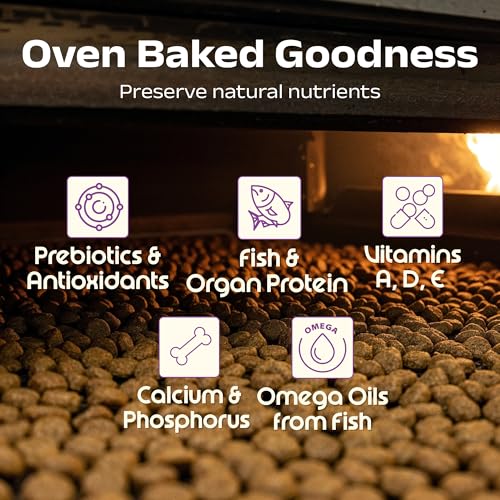 Image of Good Cat Baked Dry Cat Food for Adult Cats & Kittens | Tuna, Salmon, Mackerel & Anchovies | 4 Kg | High Protein Complete Nutrition for Cats | Taurine Enriched | Supports Digestion, Skin & Coat Health