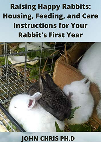rabbits care and feeding