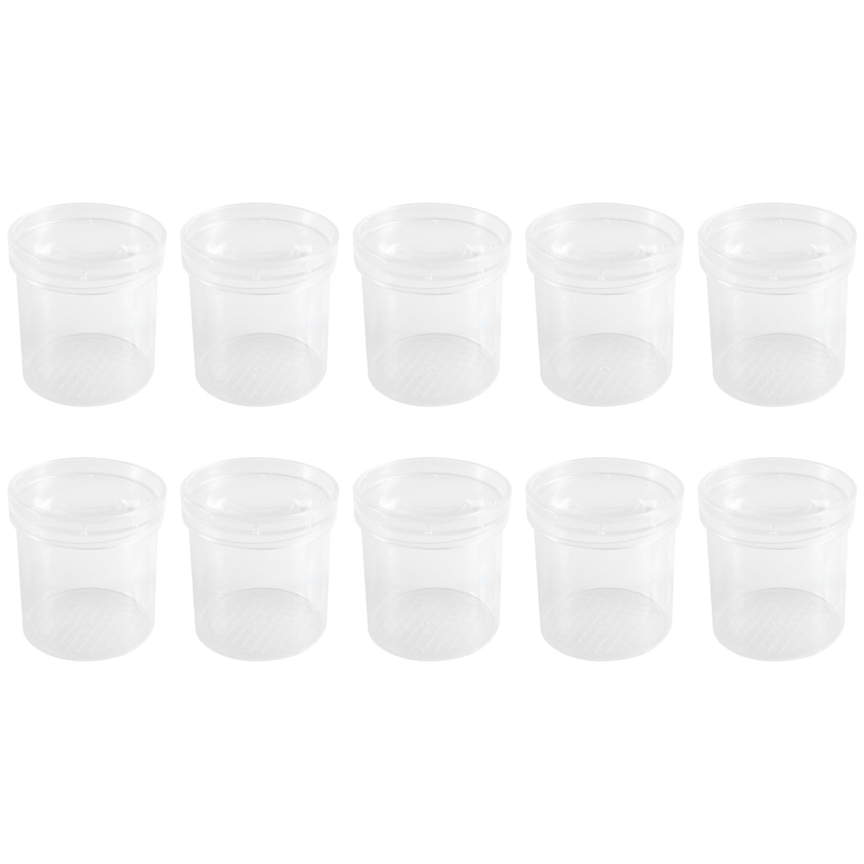 GYSURYB de ObservacióN de Insectos, Lupa para Insectos, Caja de AlimentacióN para Insectos, Instrumento de EnseñAnza, Tubo de ObservacióN Natural