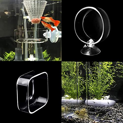 Image of Aquarium Shrimp Feeder Dish Glass Fish Tank Feeding Bowls, 1pcs Round Glass Food Bowl (60mm), 2pcs Square Fish Feeding Bowls with Suction Cups (60mm)