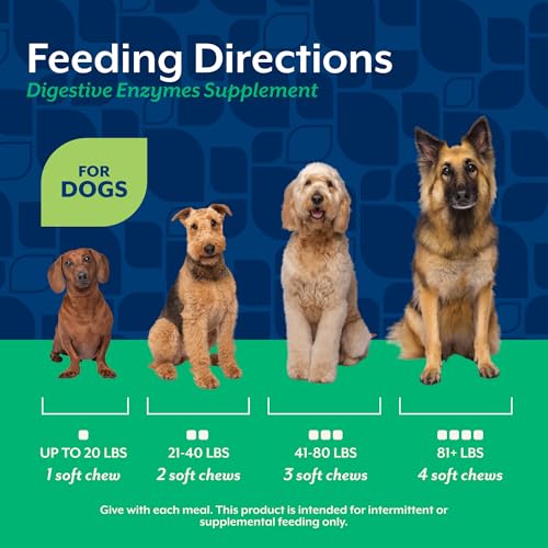 Image of NaturVet - Digestive Enzymes - Plus Probiotics & Prebiotics - Helps Support Diet Change & A Healthy Digestive Tract - for Dogs & Cats (Soft Chews, 120 Count) (Pack of 2)