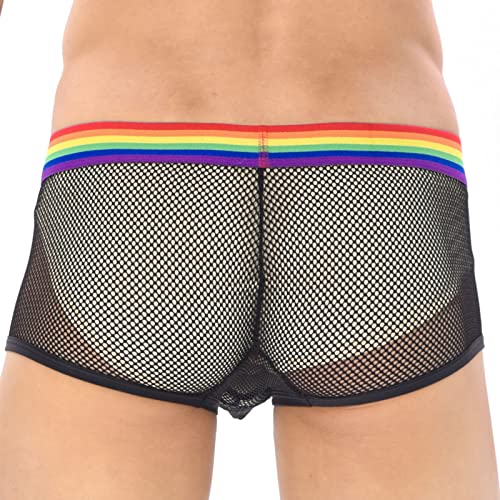Men'S Bikini Panties Sexy Sexy Mesh Men'S Panties Hollow Boxers Shorts See Through Underwear 5