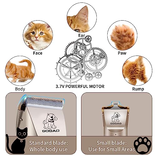 The Best Techniques for Detangling Long Hair Cats' Fur Safely